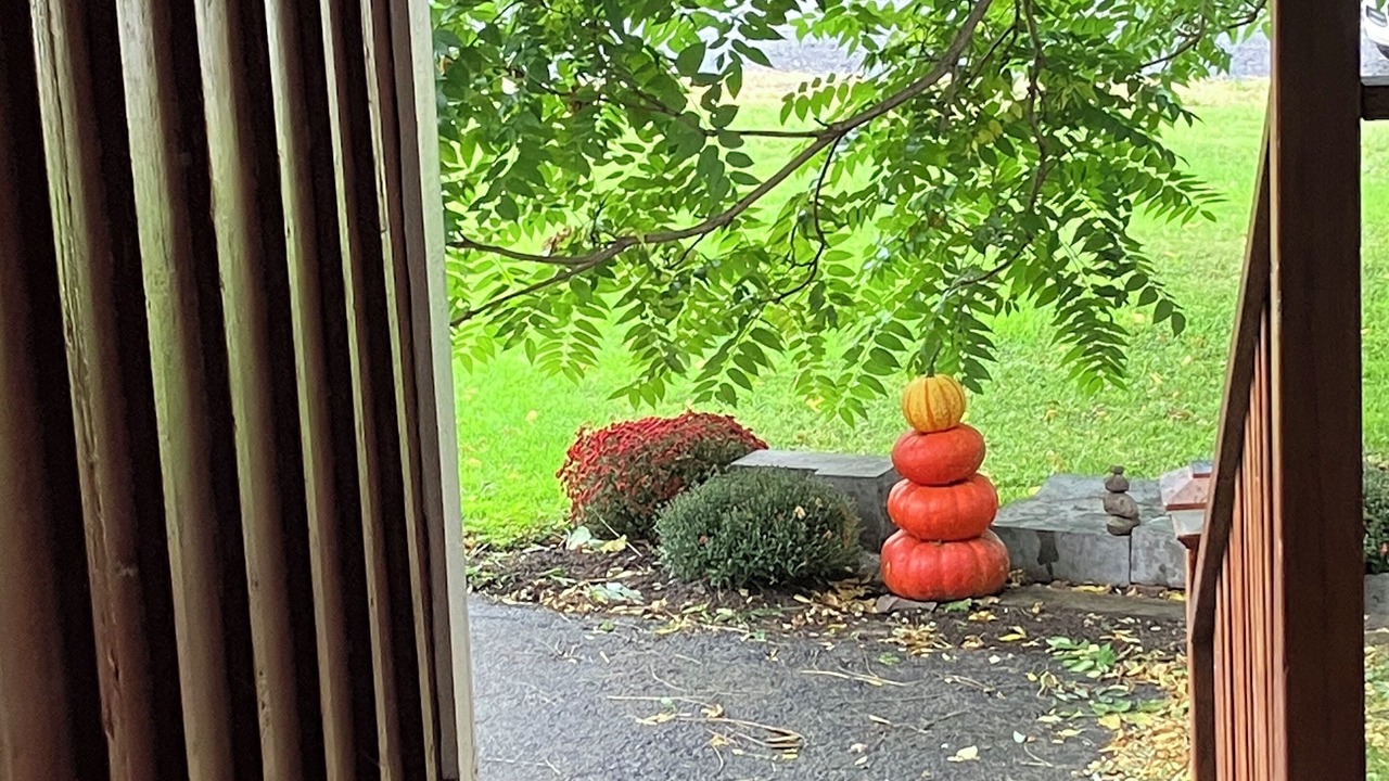 Photo of Outdoor in Seneca Falls