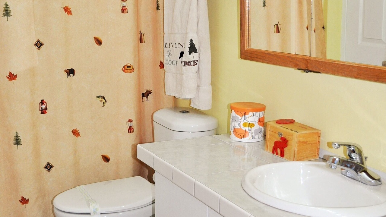 Photo of Bathroom in Baldwin