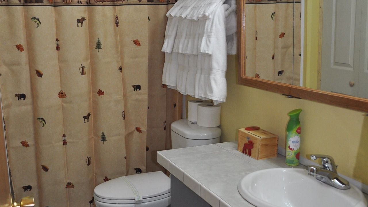 Photo of Bathroom in Baldwin
