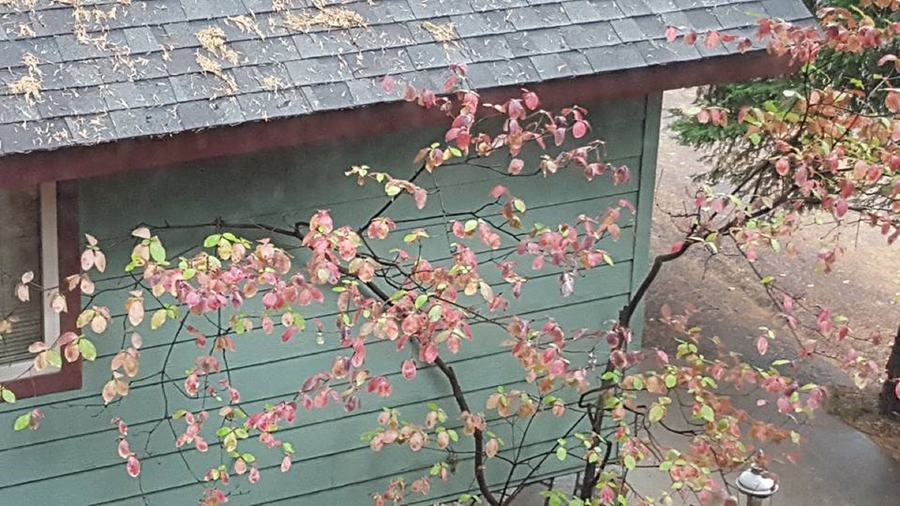 Photo of Others in Lake Arrowhead