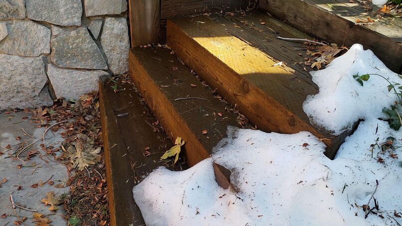 Photo of Others in Lake Arrowhead