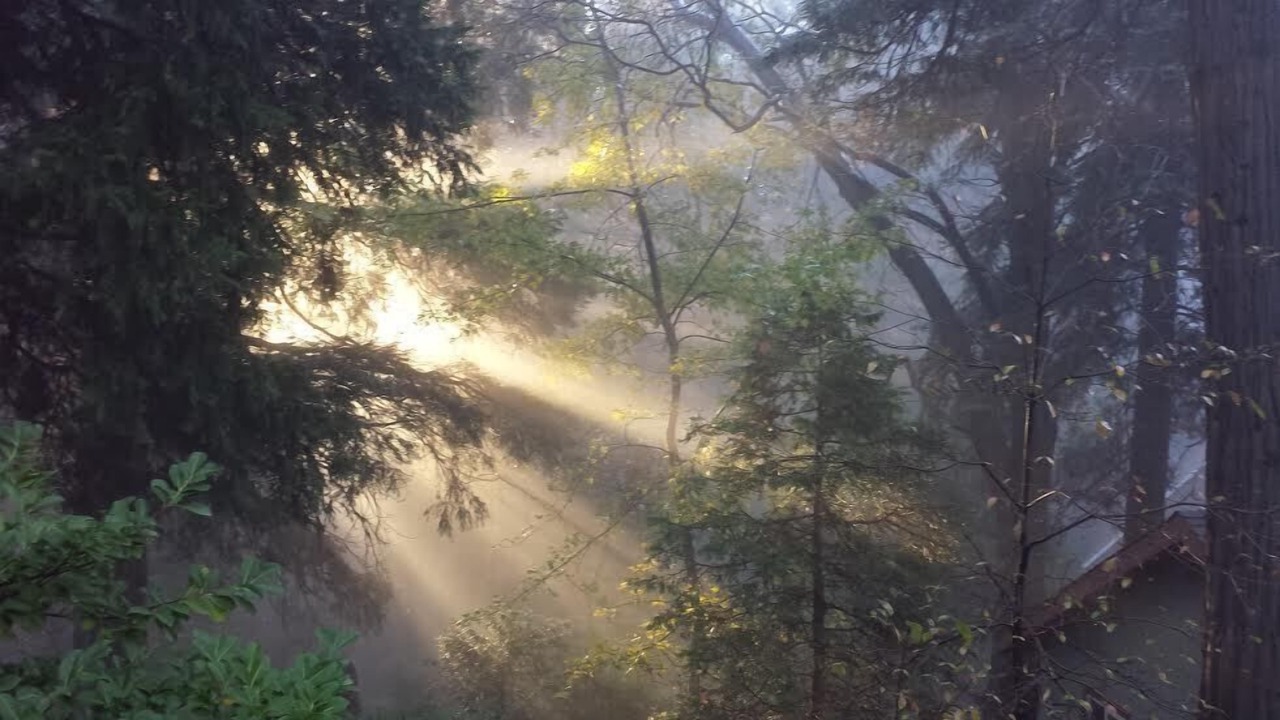Photo of Others in Lake Arrowhead