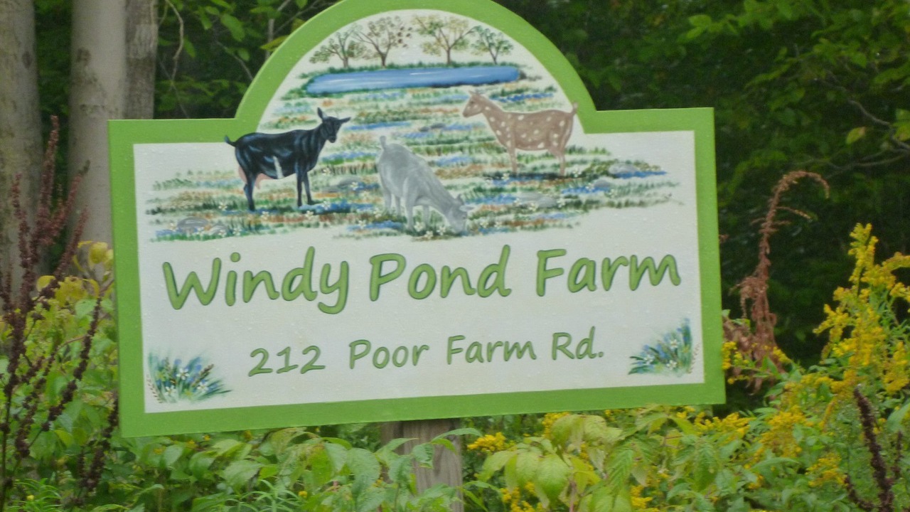 Photo of Outdoor in Lake Como