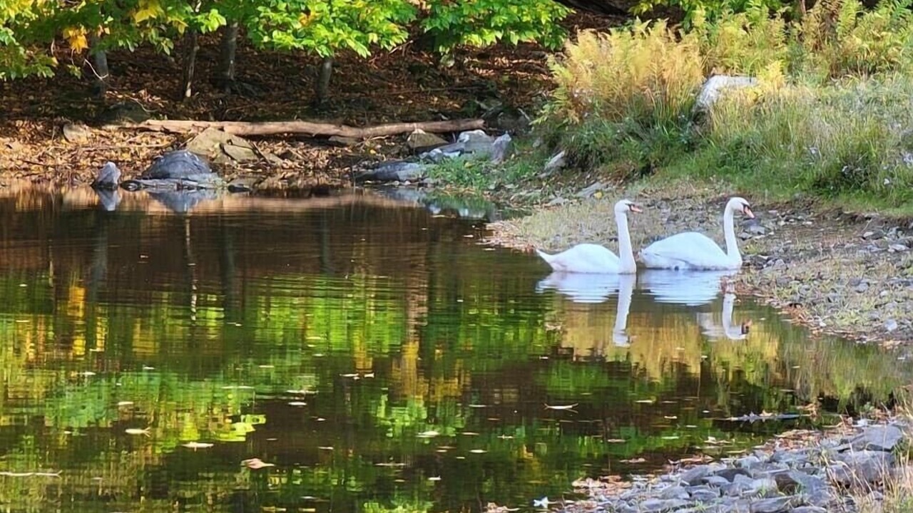 Photo of Outdoor in Lake Como