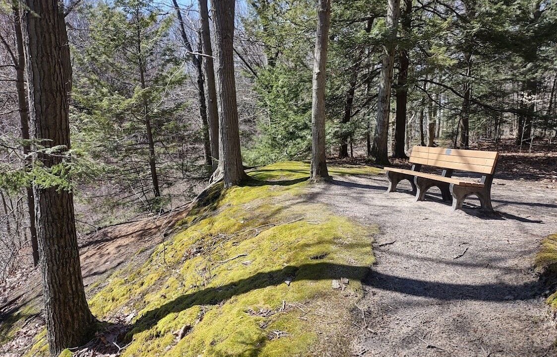 Photo of Outdoor in Norton Shores