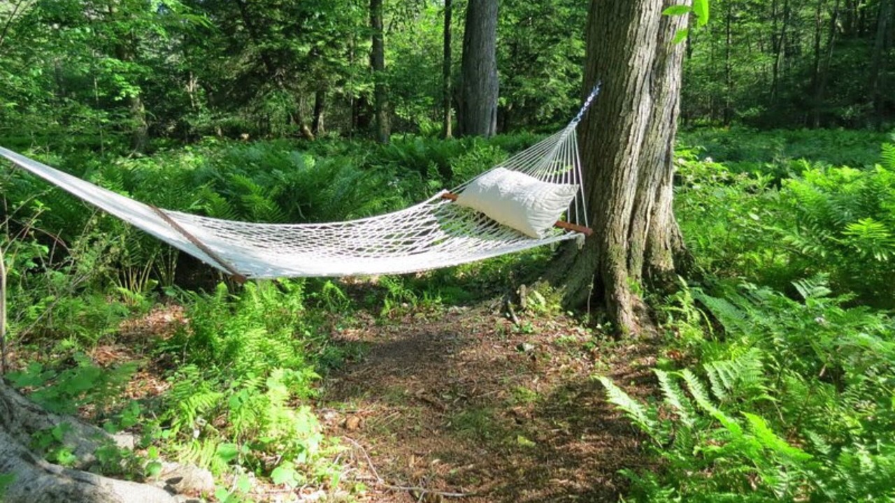 Photo of Outdoor in Norton Shores