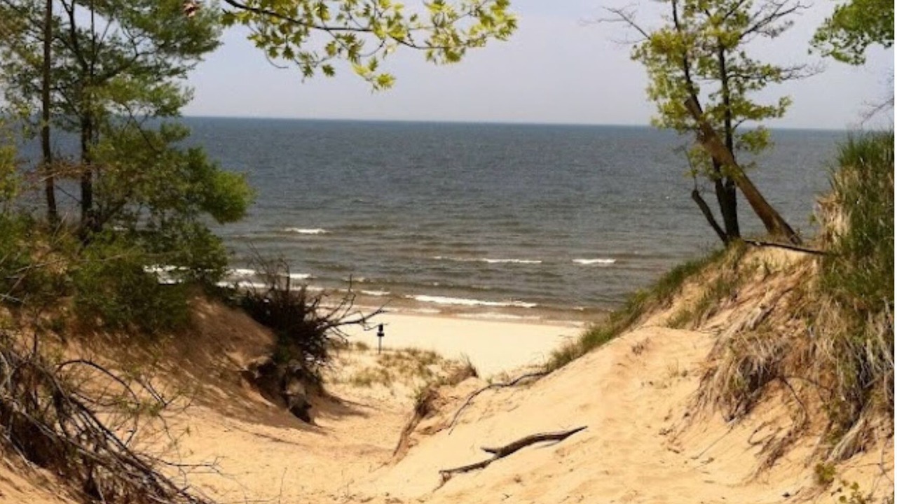 Photo of Others in Norton Shores