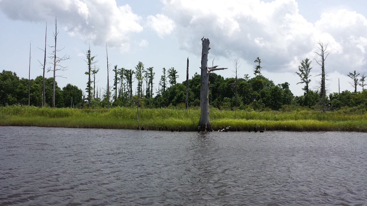 Photo of Others in North Carolina Coast