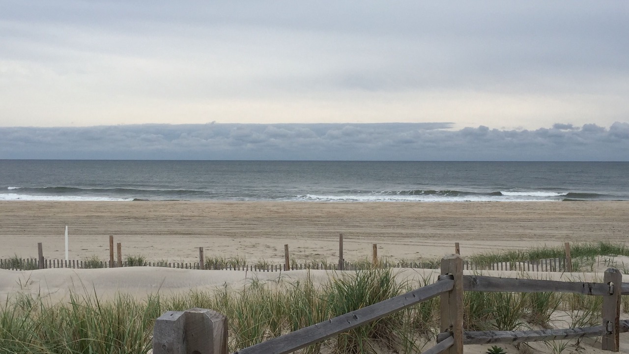 Photo of Others in Ship Bottom