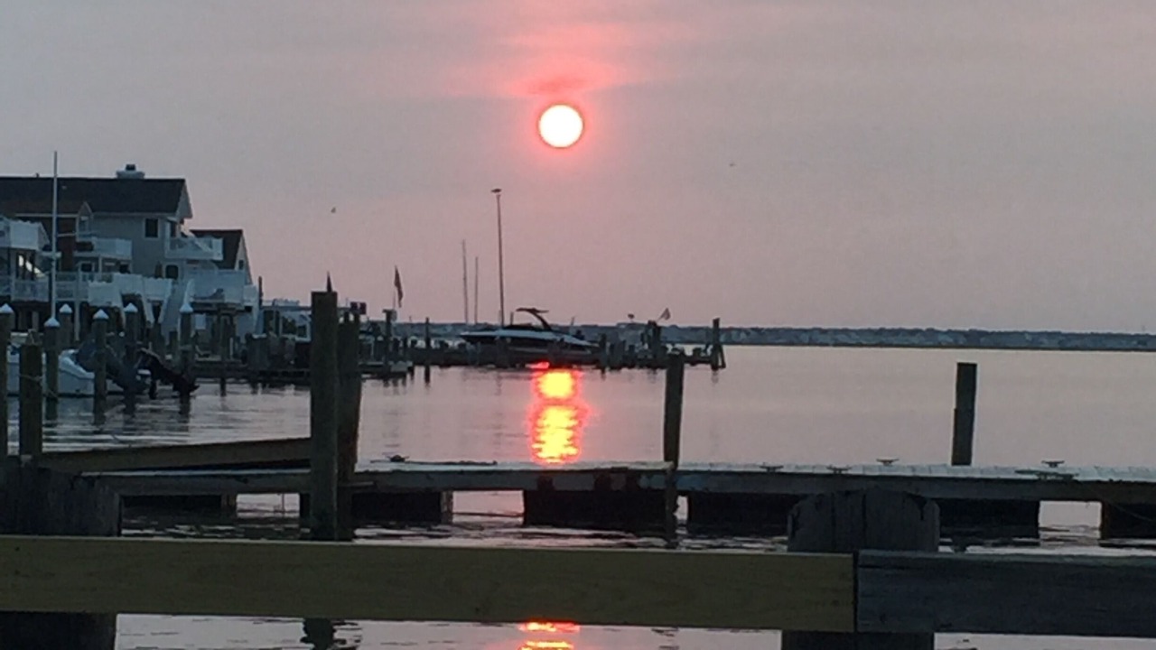 Photo of Outdoor in Ship Bottom