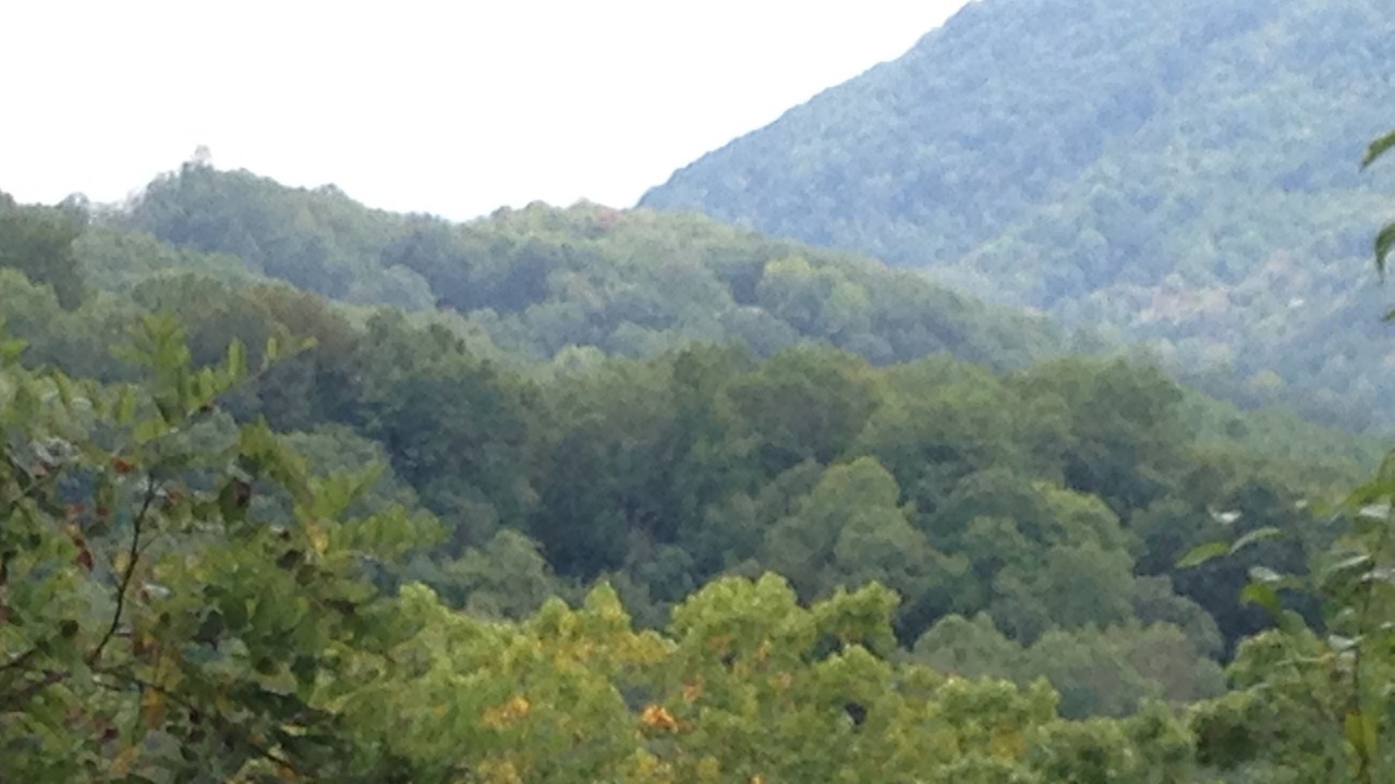 Photo of Others in Maggie Valley