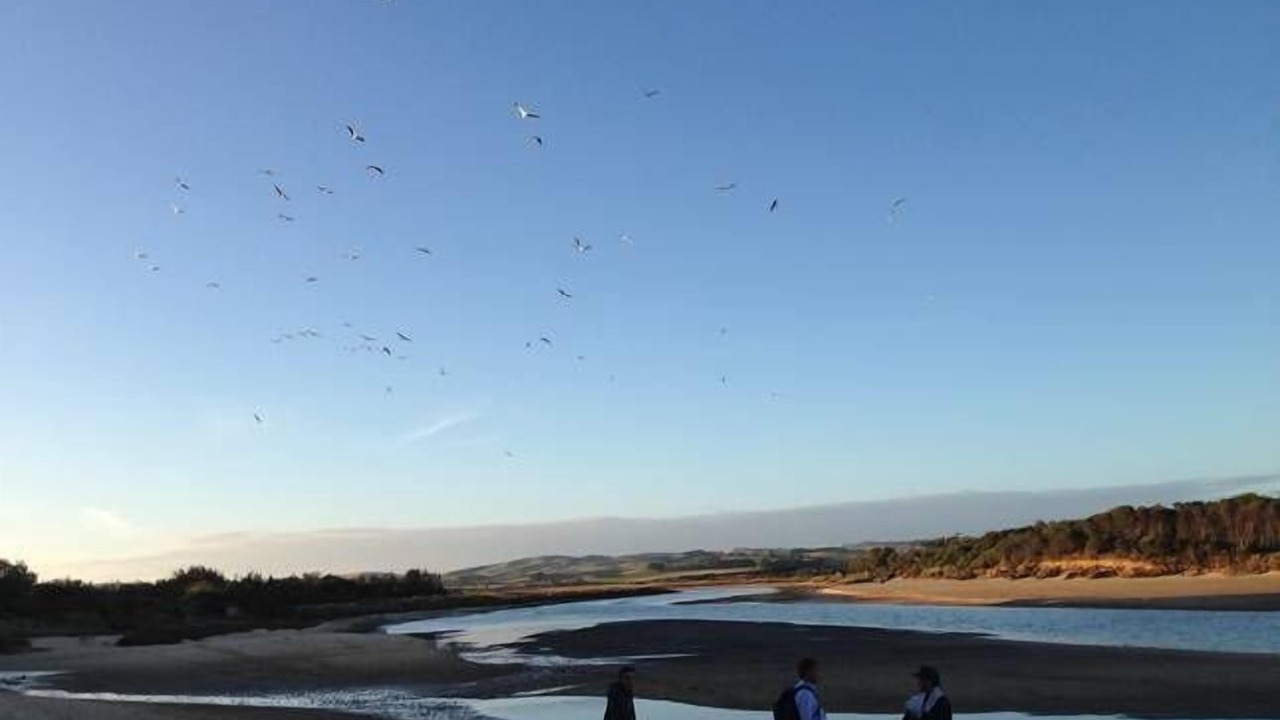 Photo of Others in Kilcunda