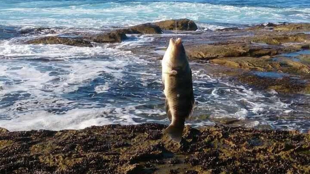 Photo of Others in Kilcunda