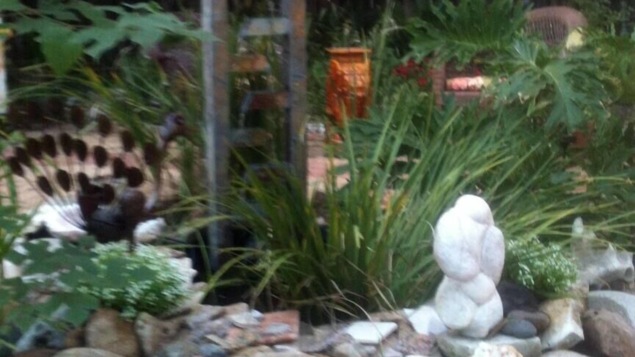 Photo of Others in Manchaca