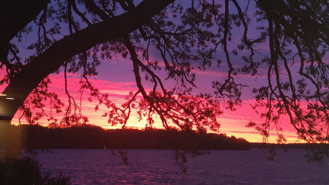 Photo of Others in Fox Lake