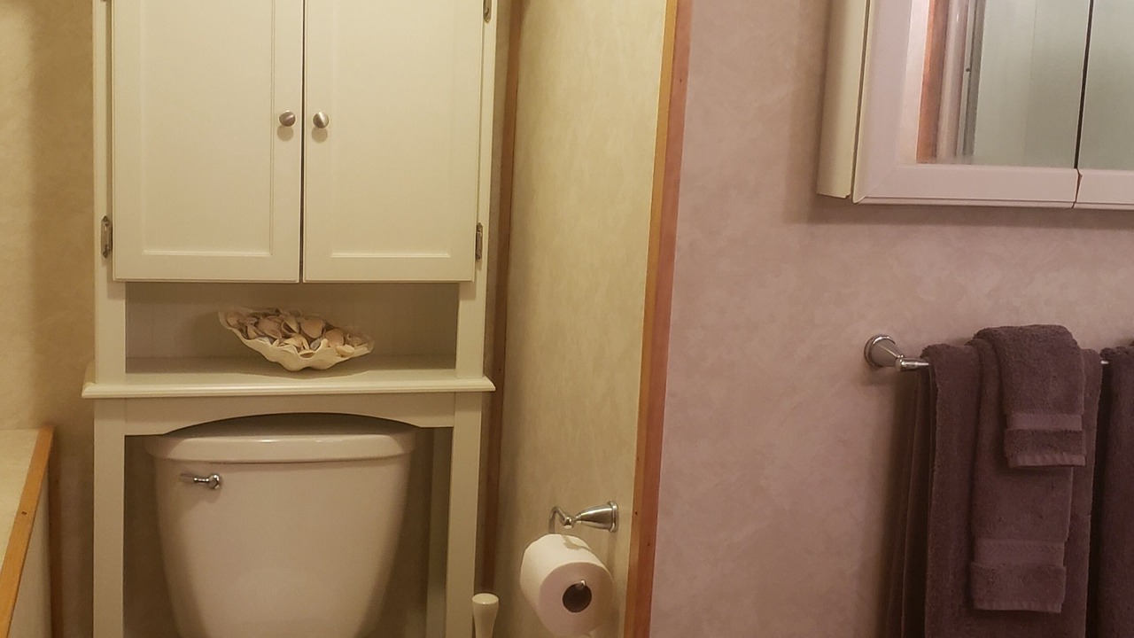 Photo of Bathroom in Fox Lake