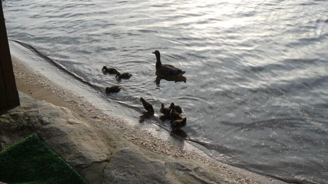 Photo of Others in East Brookfield