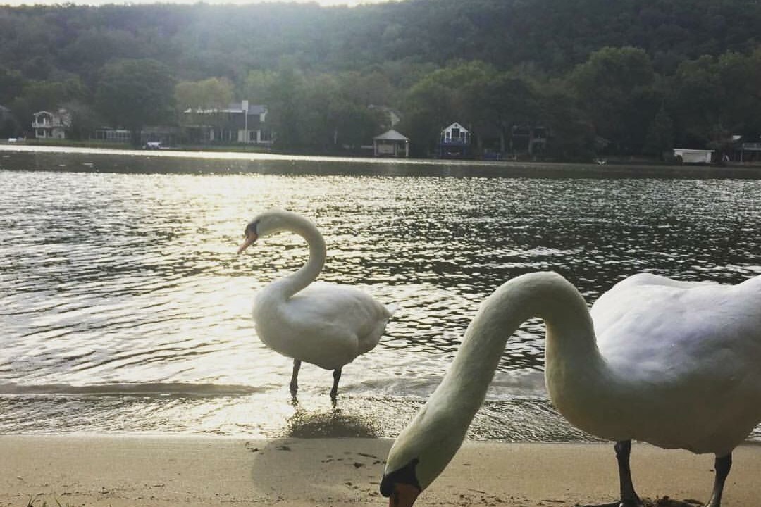 Photo of Others in Oak Shores On Lake Austin