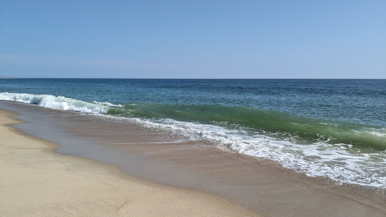 Photo of Others in Surfside