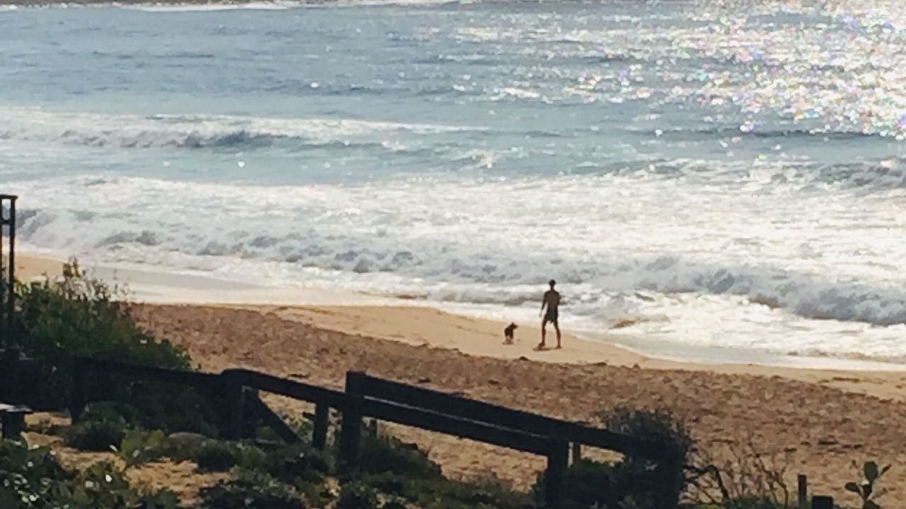 Photo of Others in Macmasters Beach