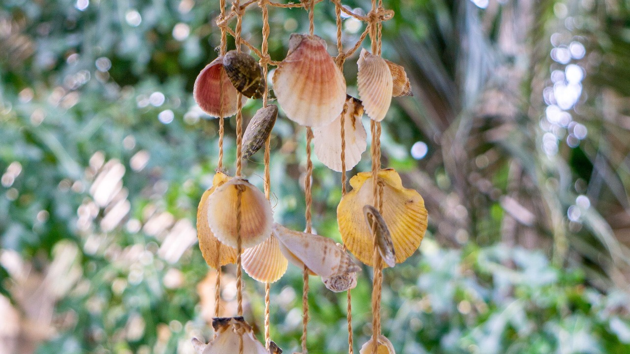 Photo of Others in Macmasters Beach