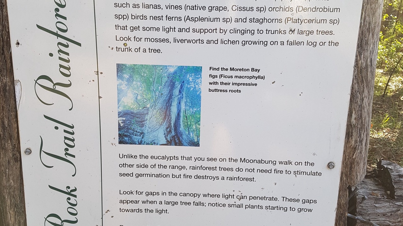 Photo of Others in Vacy