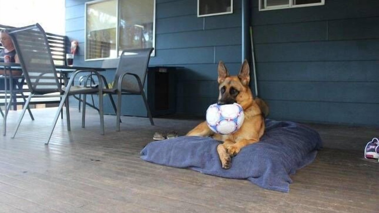 Photo of Outdoor in Toogoom