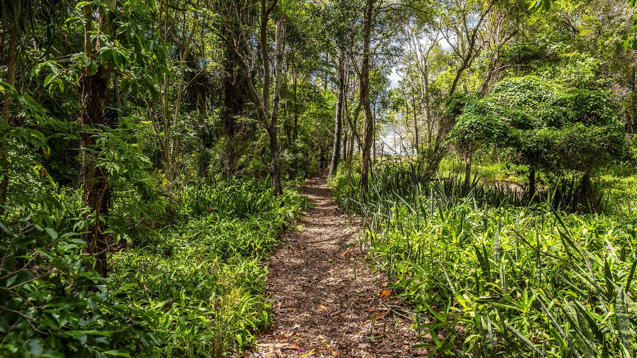 Photo of Outdoor in Toogoom