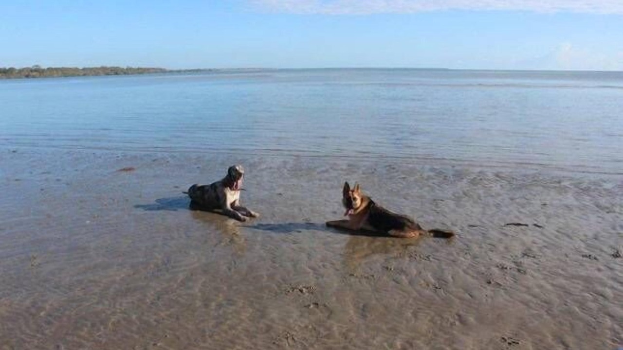 Photo of Others in Toogoom