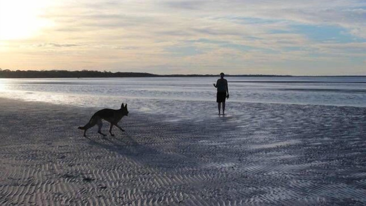 Photo of Others in Toogoom