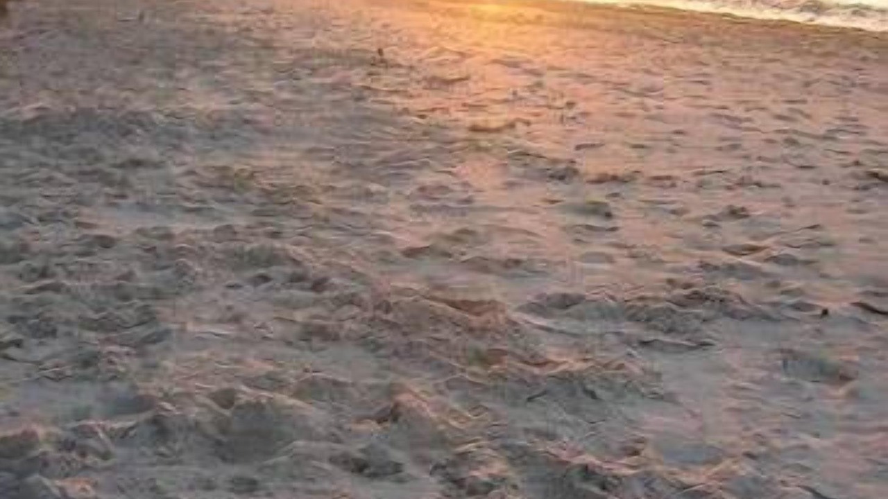 Photo of Others in Toogoom