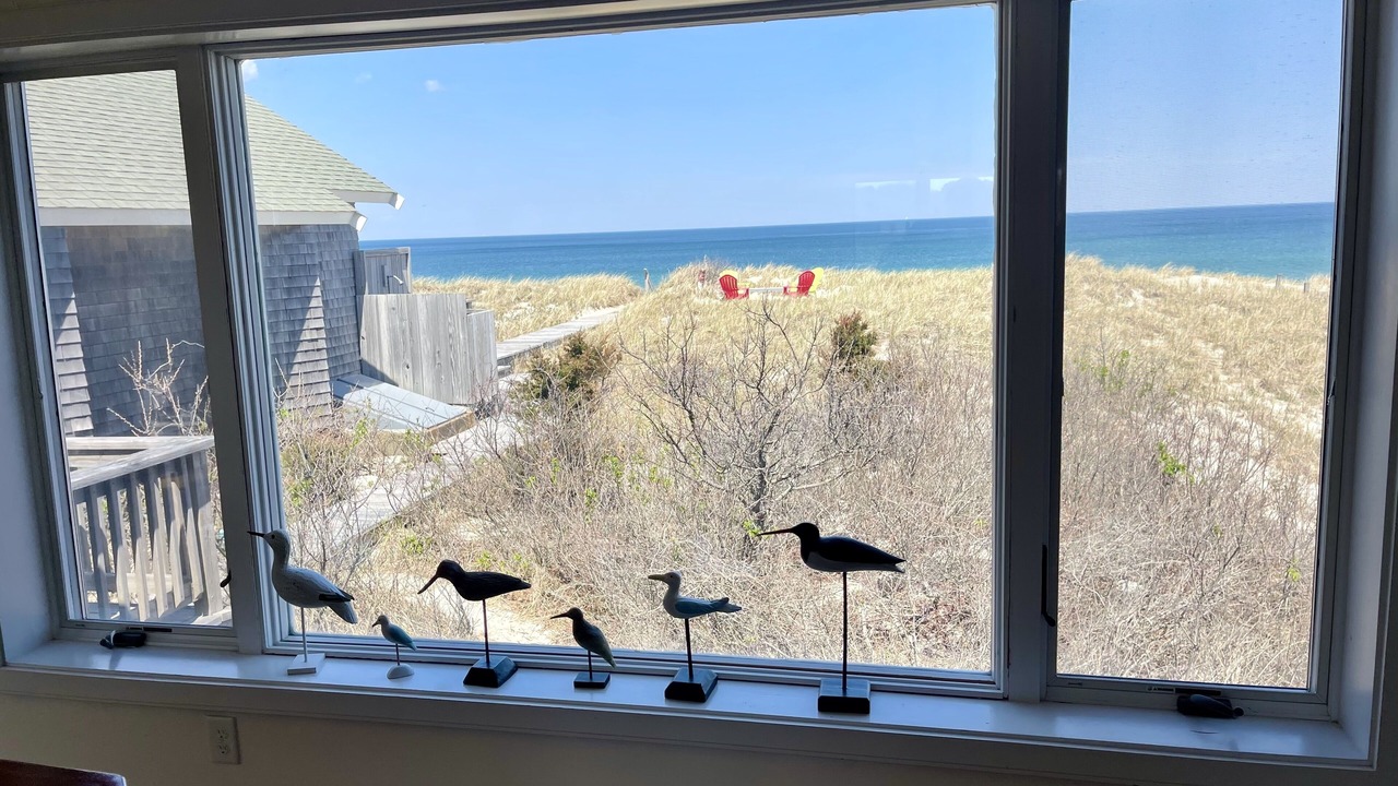 Photo of Others in East Sandwich