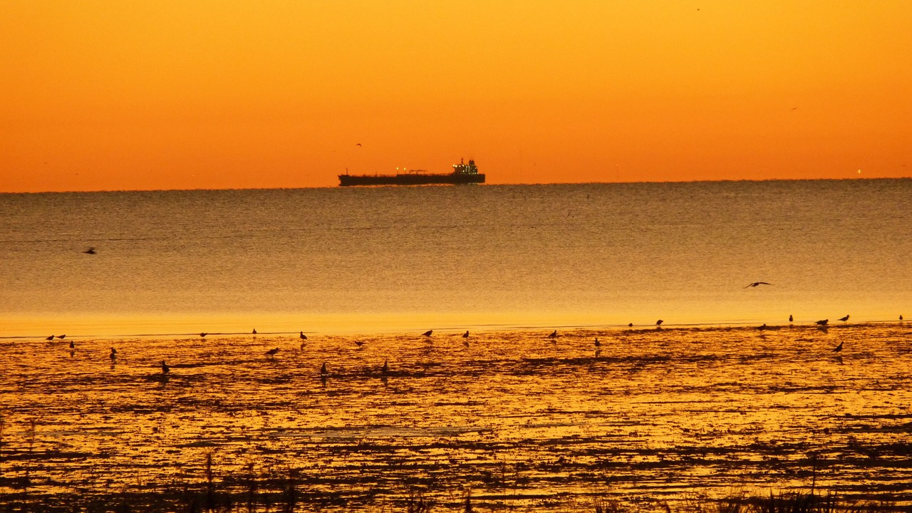 Photo of Others in Milford