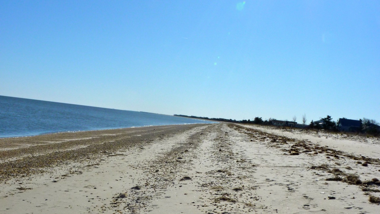 Photo of Others in Milford