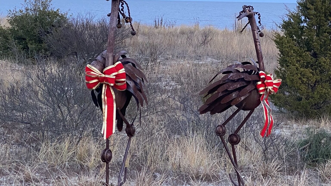 Photo of Others in Milford