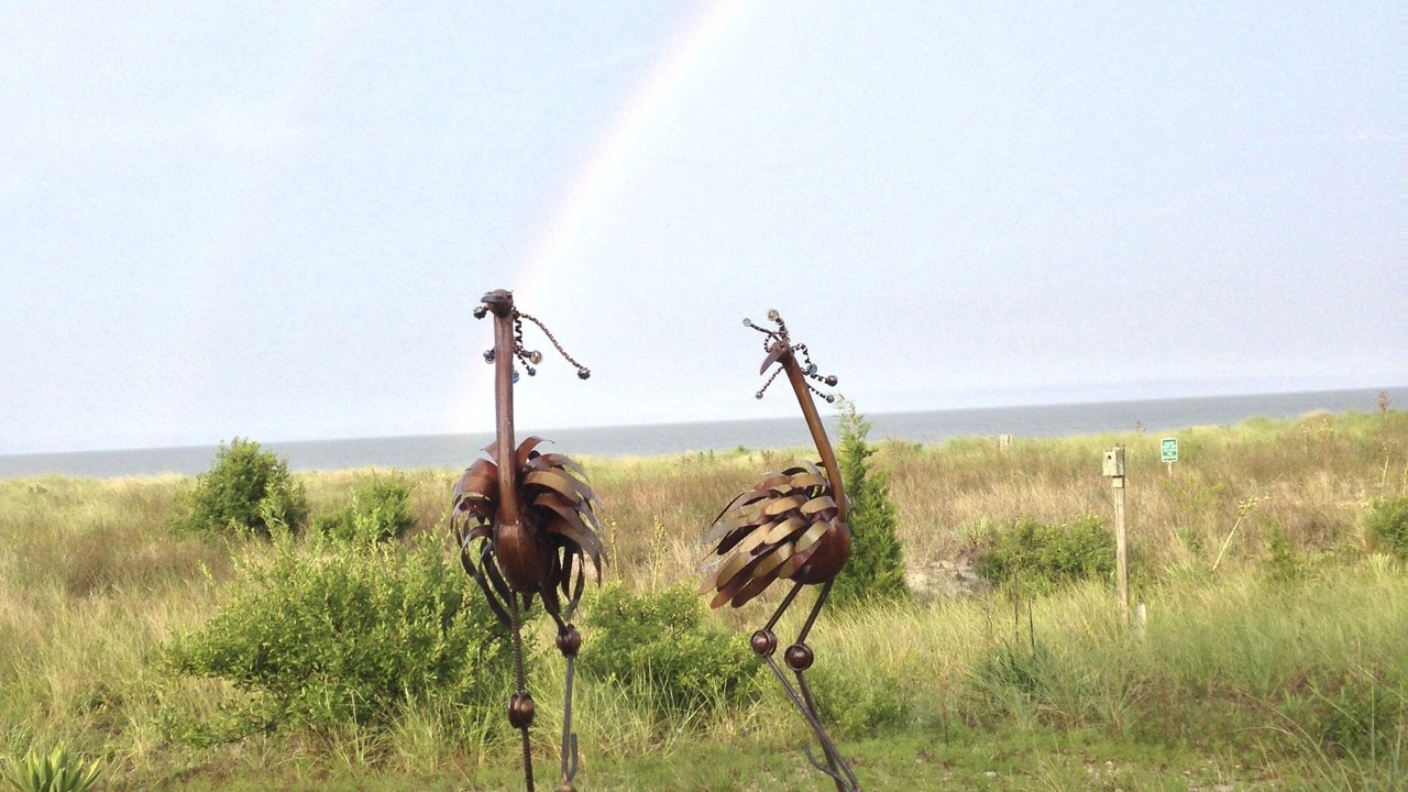 Photo of Others in Milford