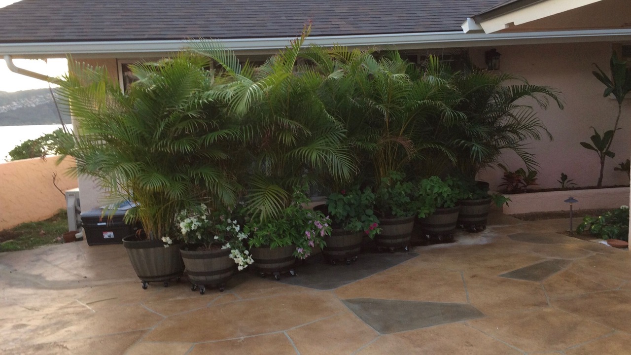 Photo of Others in Hawaii Kai