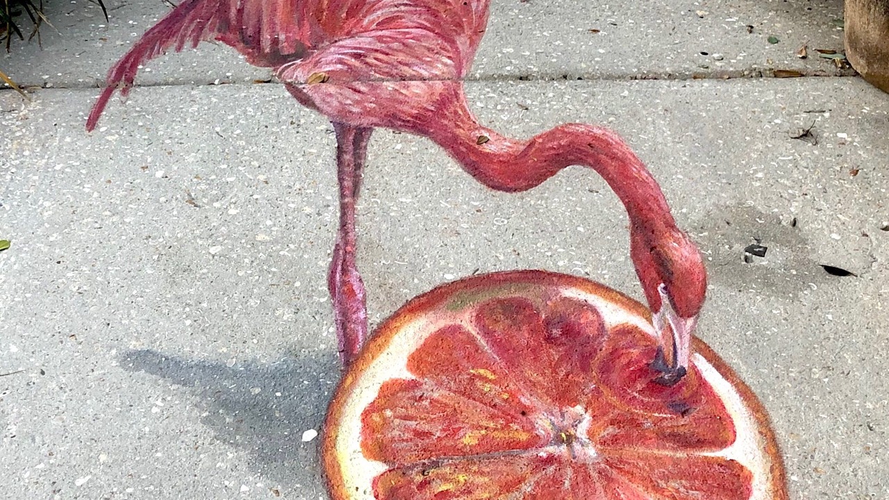 Photo of Others in Burns Square