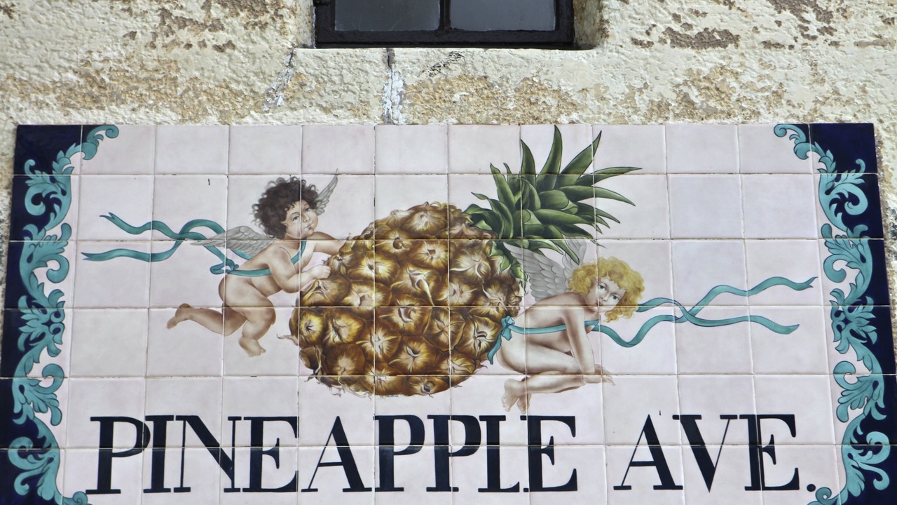 Photo of Outdoor in Burns Square