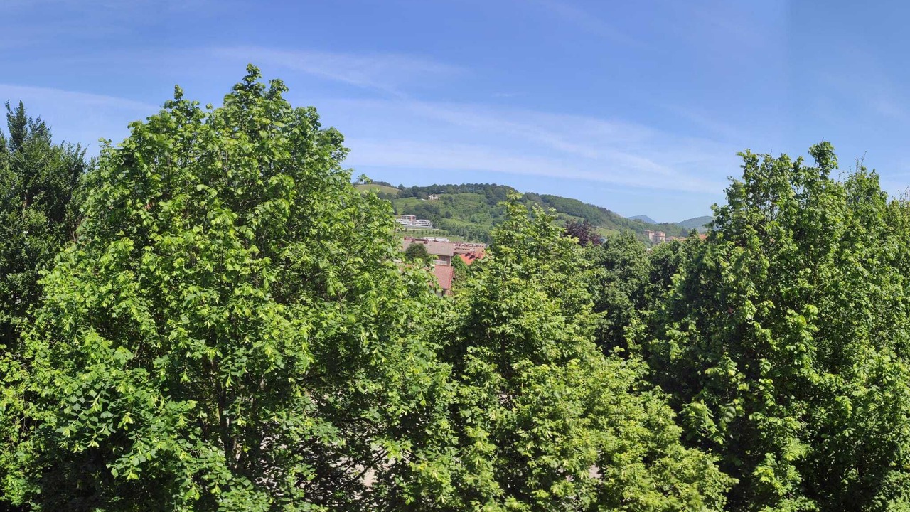 Photo of Outdoor in Hernani