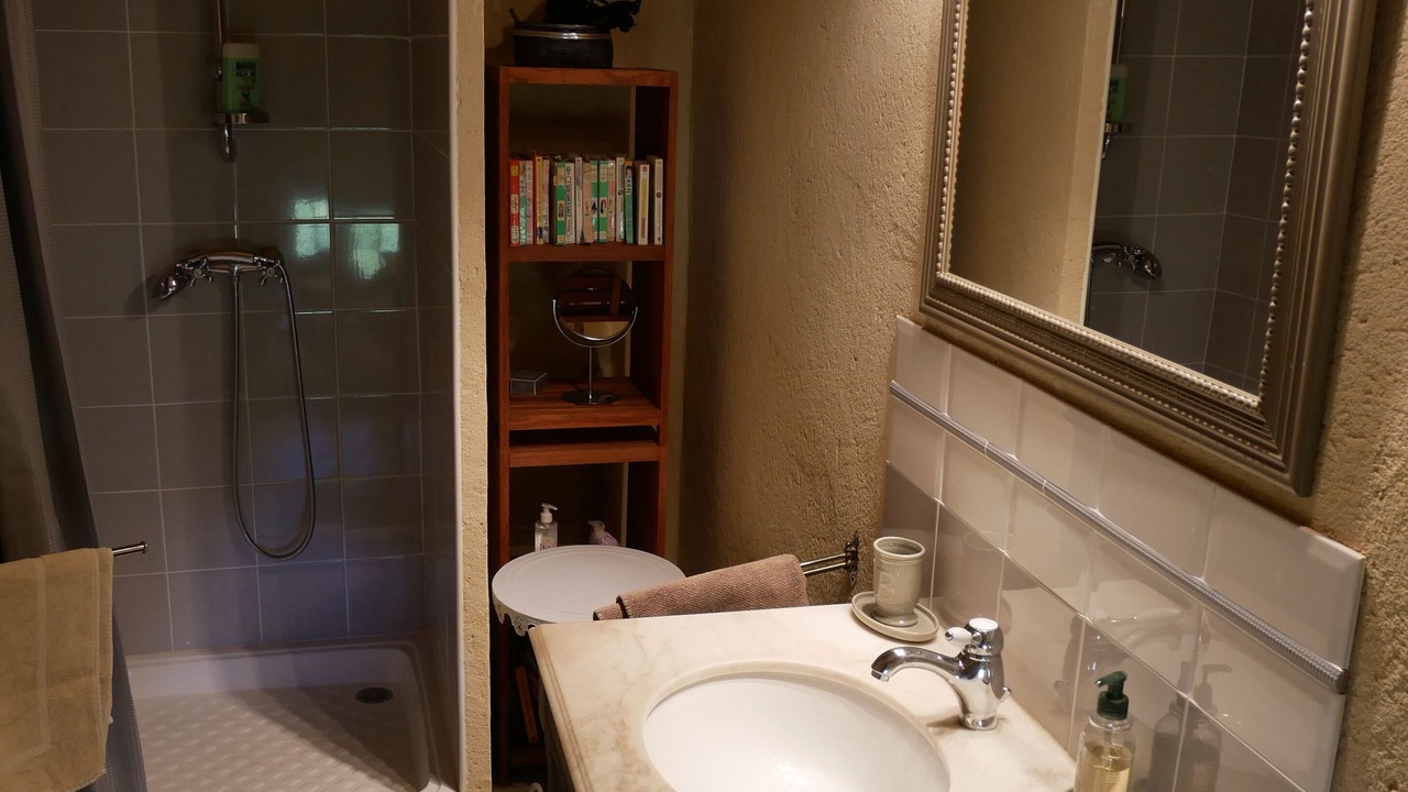 Photo of Bathroom in La Capelle-et-Masmolene