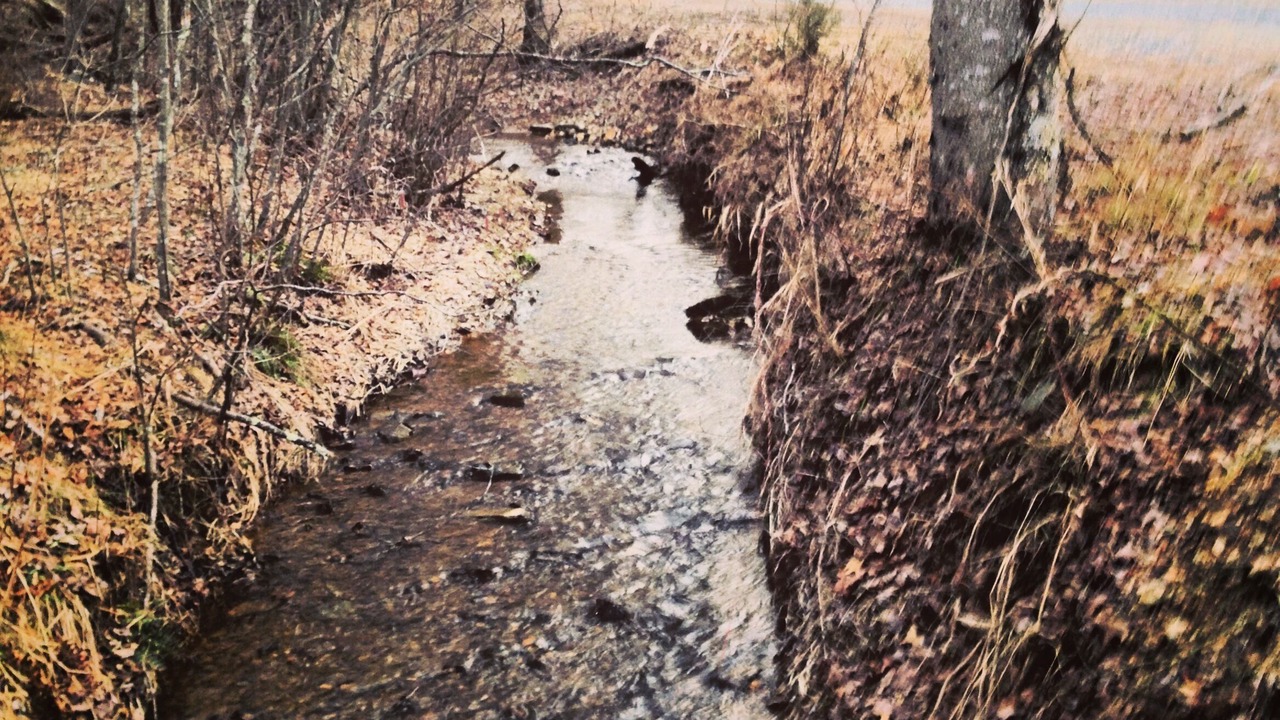 Photo of Outdoor in Ridge