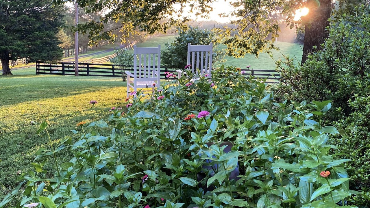 Photo of Outdoor in Ridge