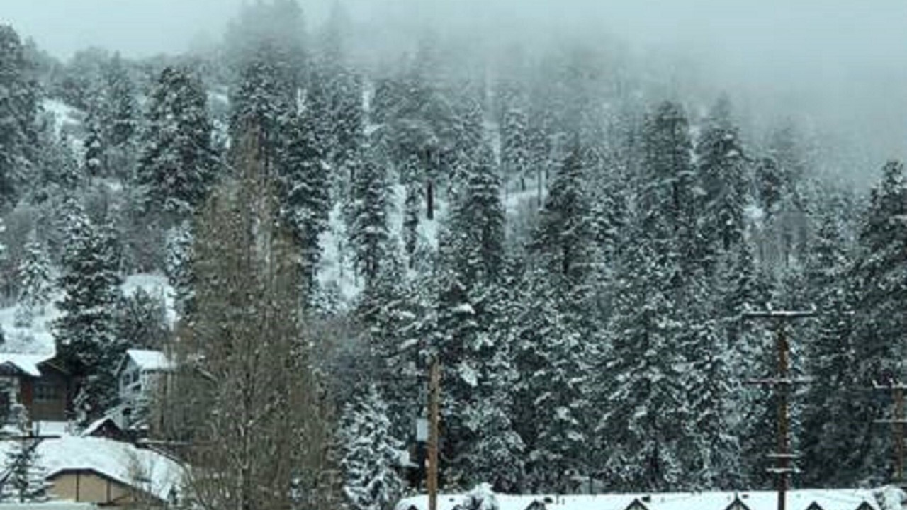 Photo of Others in Upper Moonridge