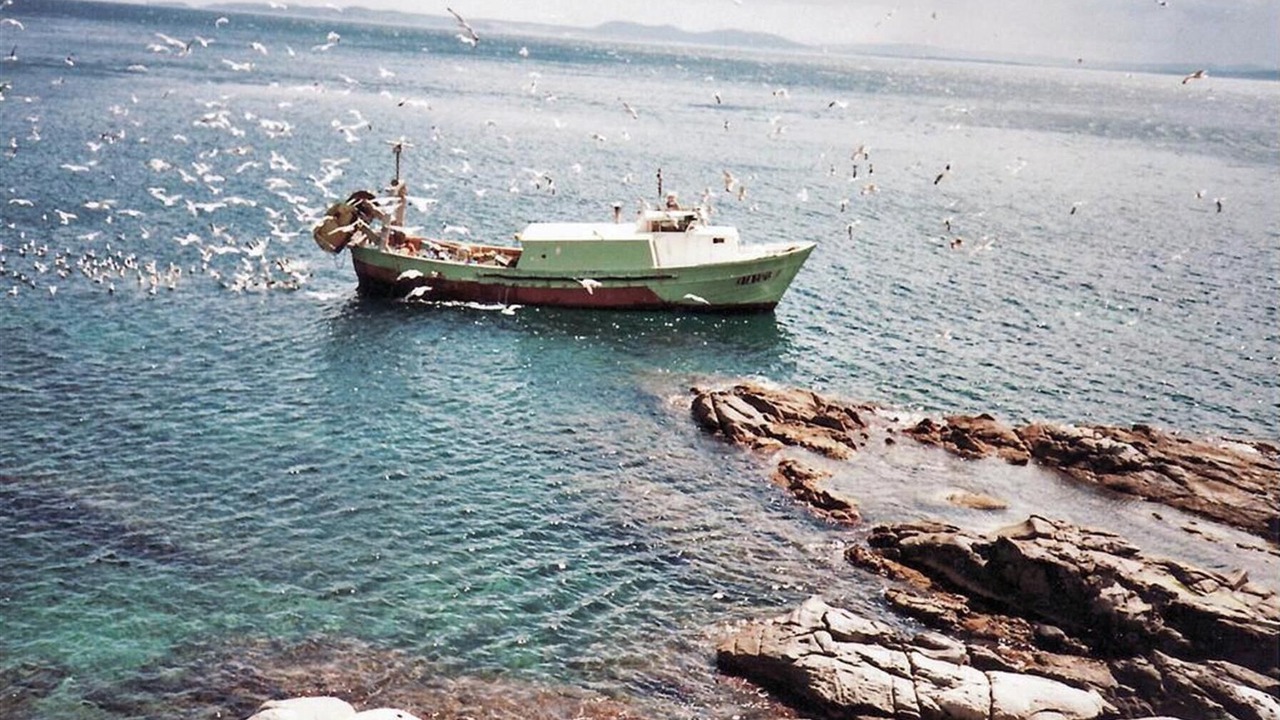 Photo of Others in Almadraba-Canyelles