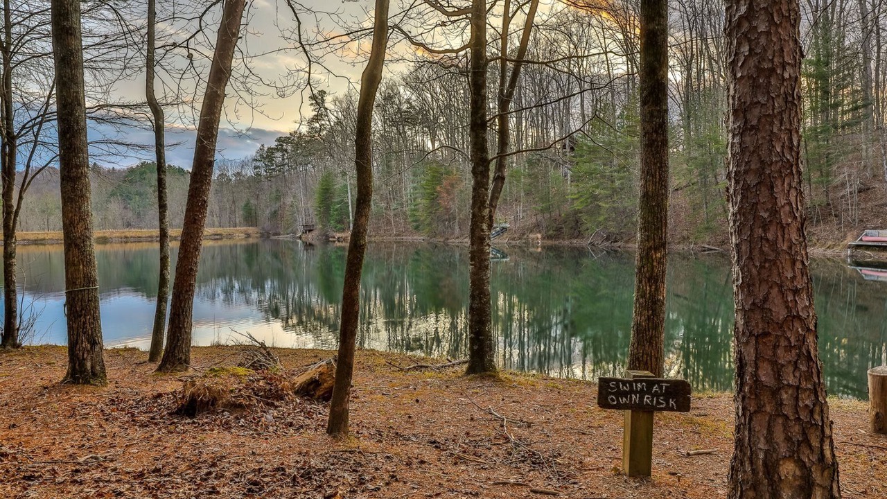 Photo of Others in Cherry Log