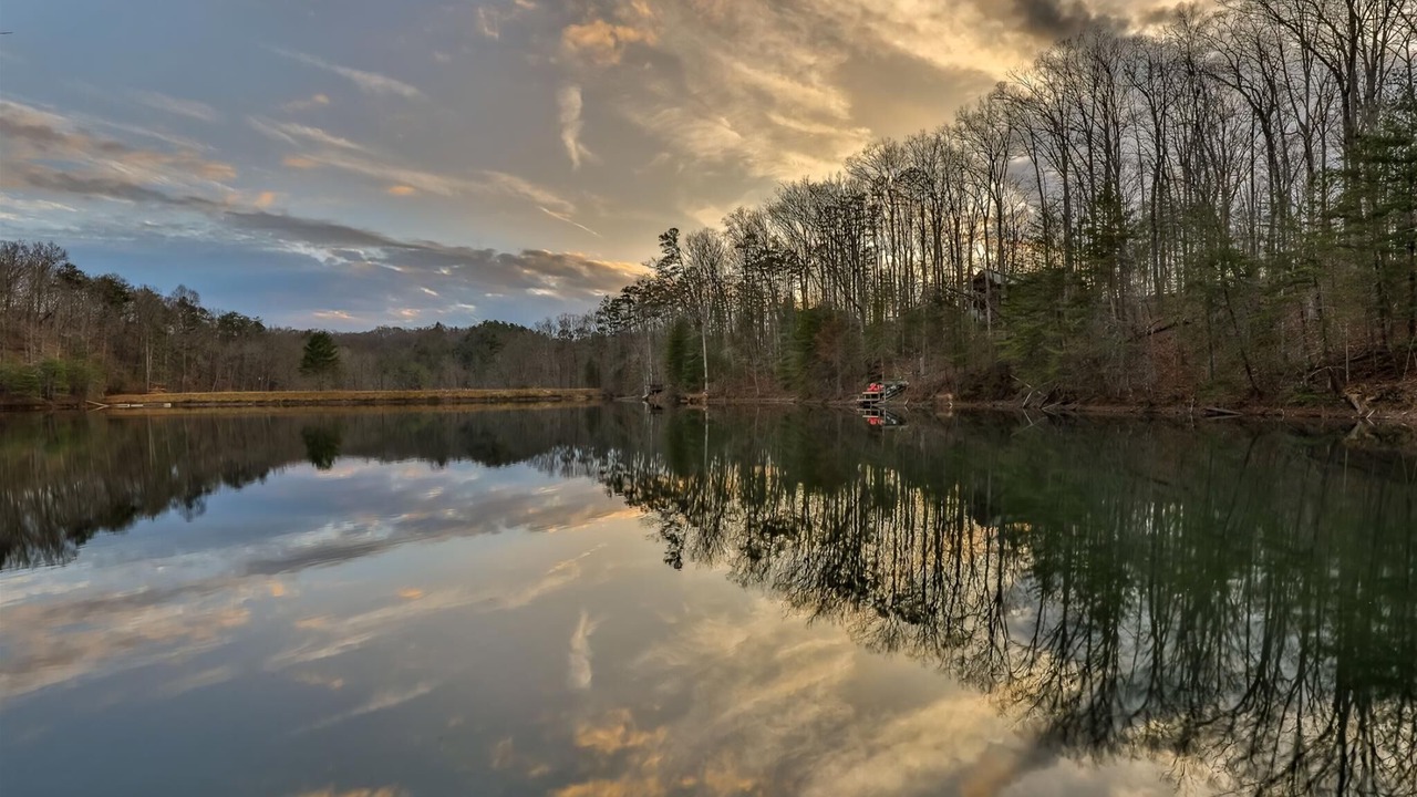 Photo of Others in Cherry Log