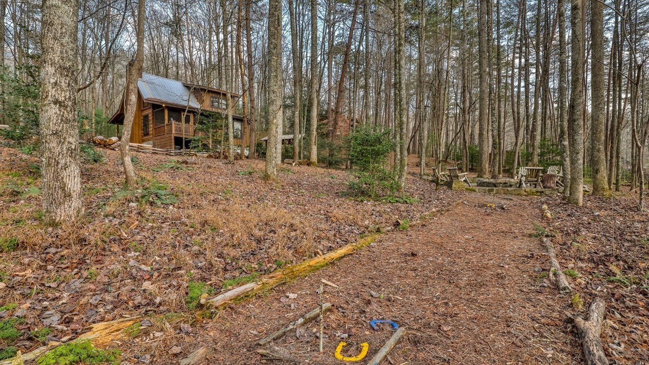 Photo of Others in Cherry Log