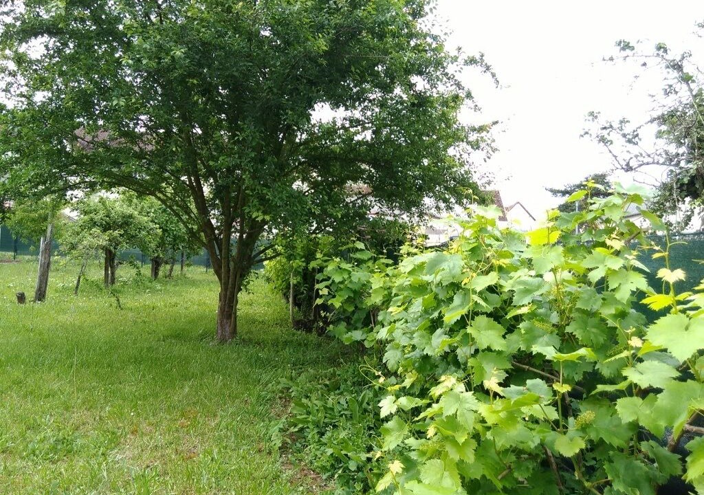 Photo of Outdoor in Saint-Aignan