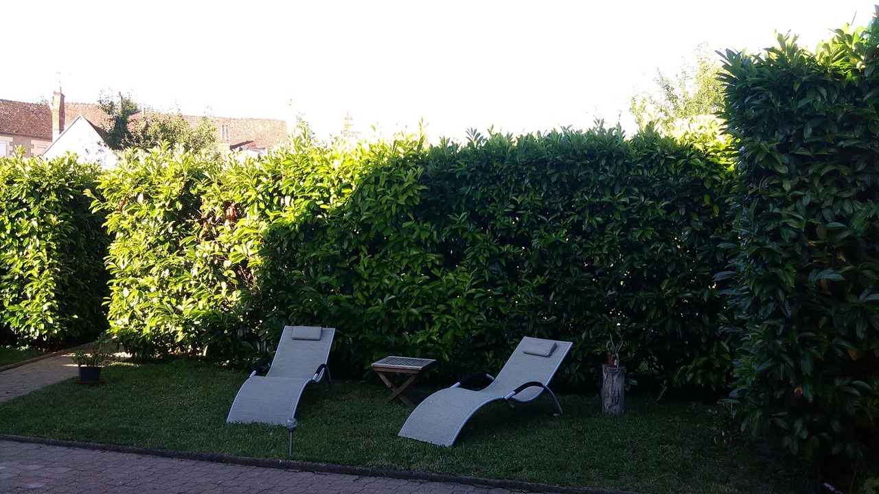 Photo of Outdoor in Saint-Aignan